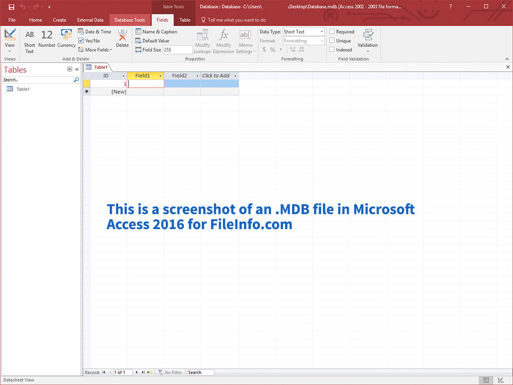 Microsoft Access Mdb File